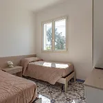 Milocca Homes